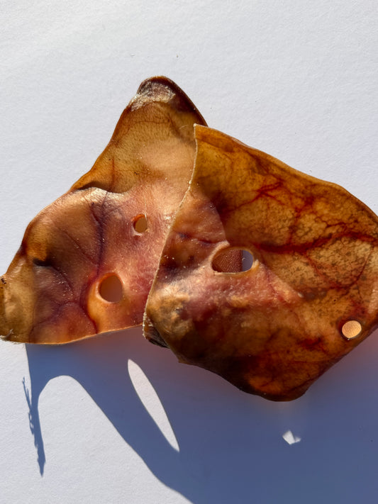 Pigs Ears