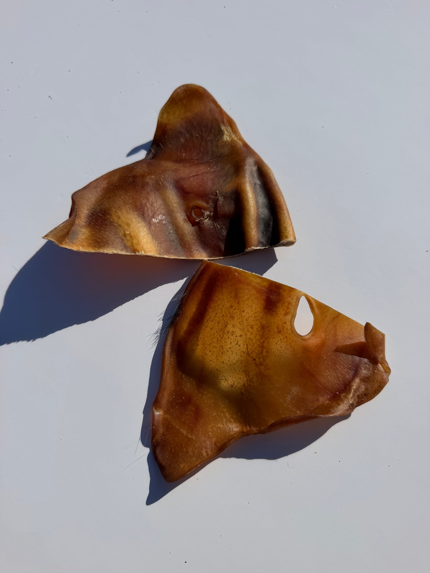 Pigs Ears