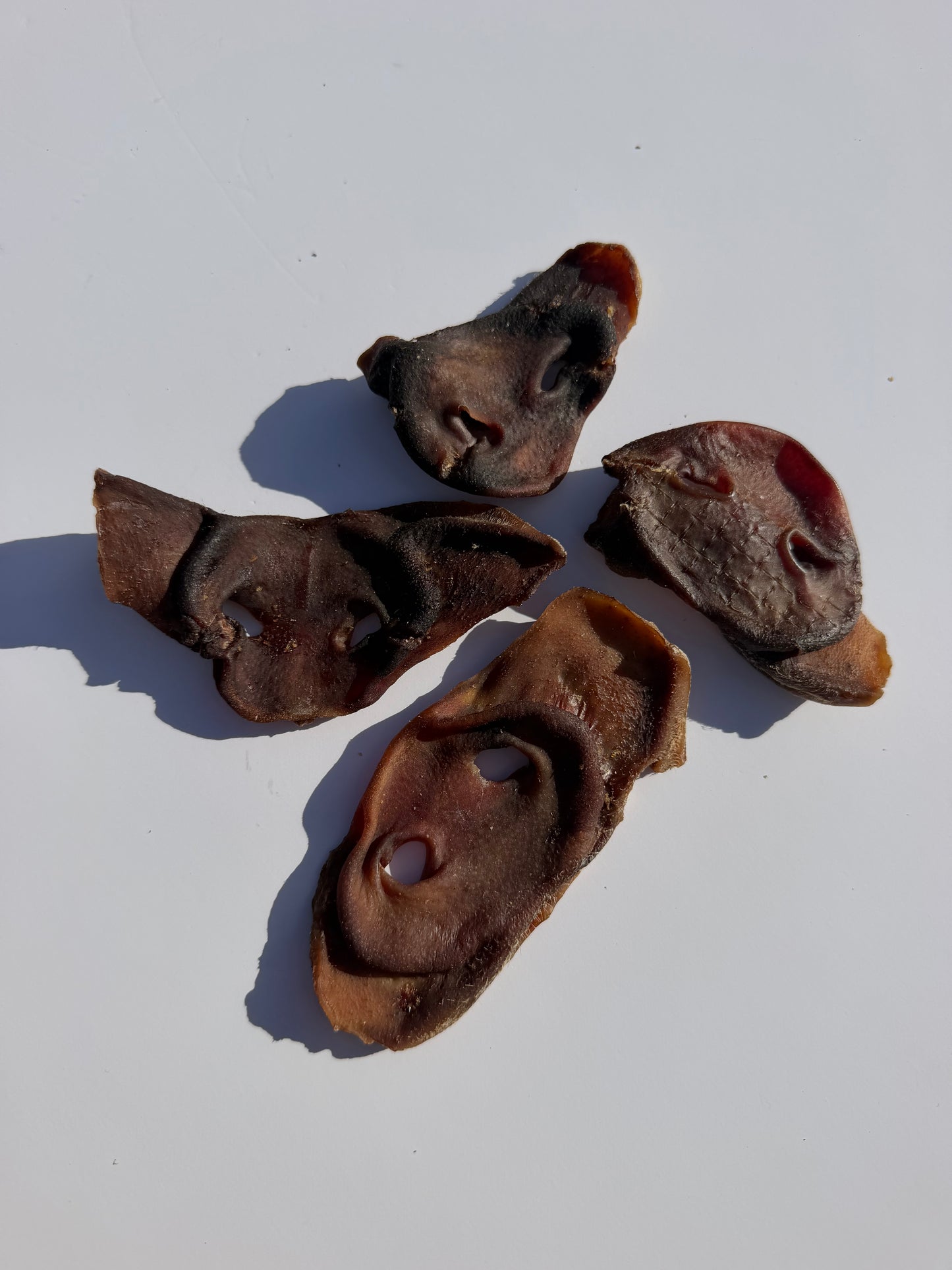 Pig Snouts