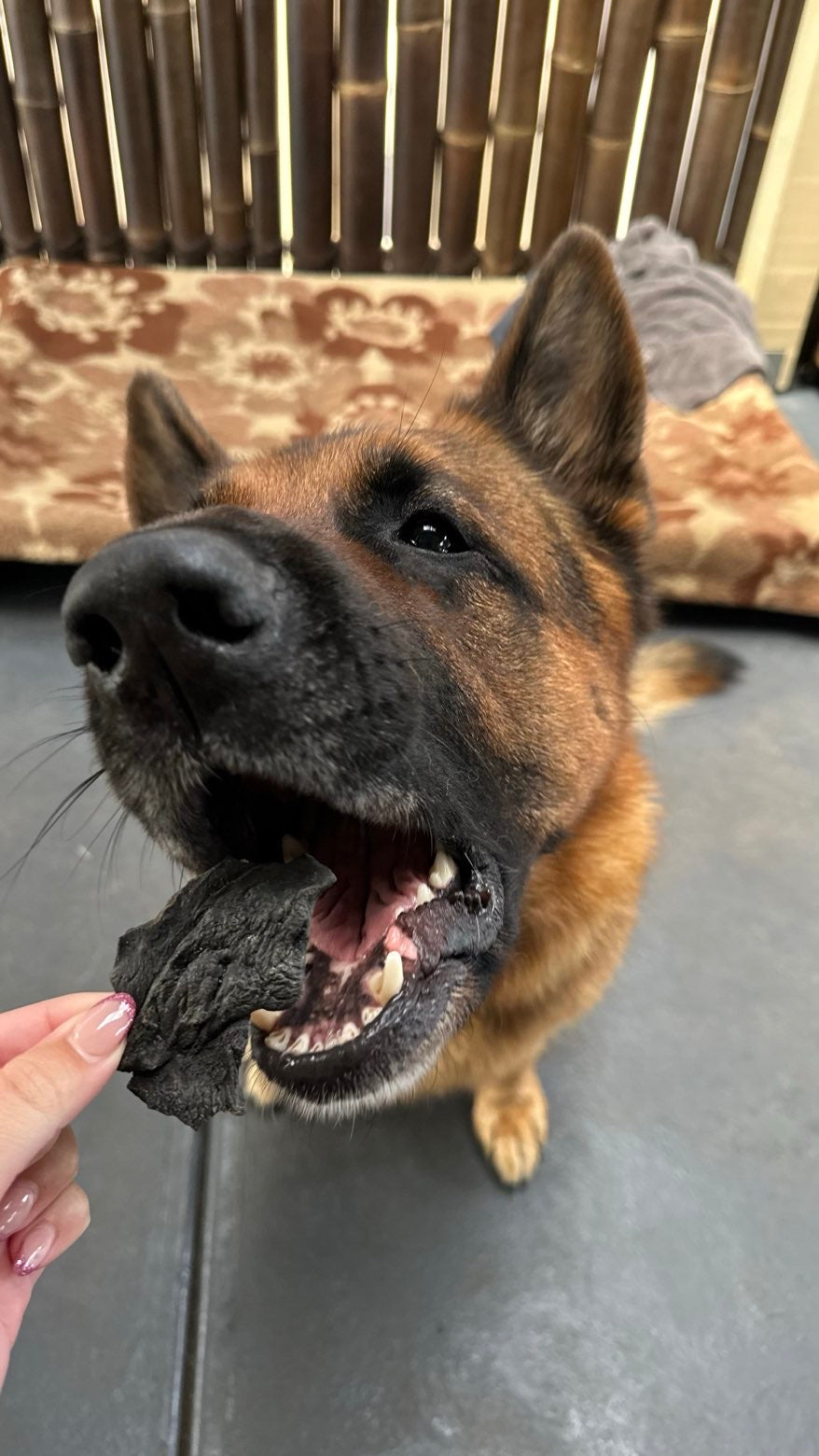All Treats