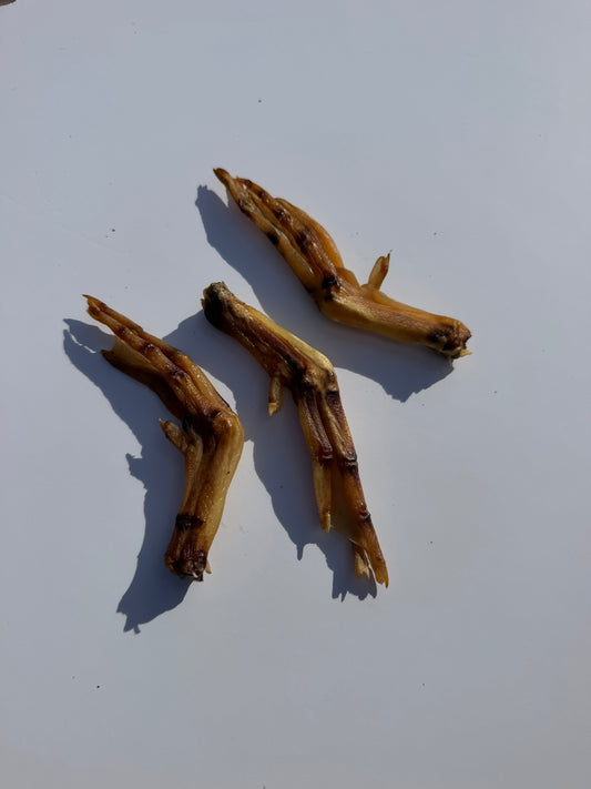 Duck Feet