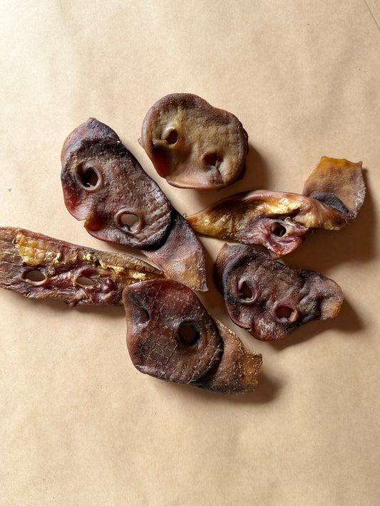 Pig Snouts