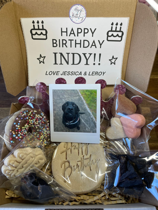 Deluxe Birthday Pup Box