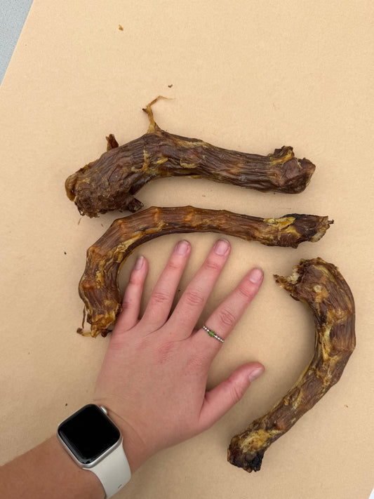 Turkey Necks
