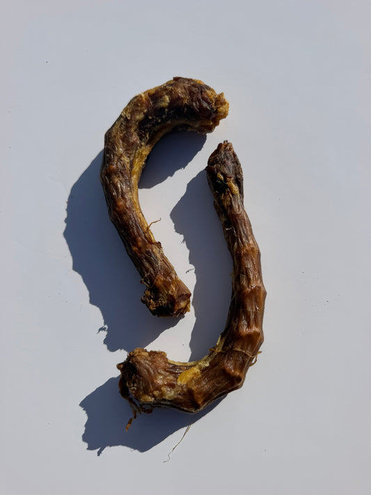 Turkey Necks
