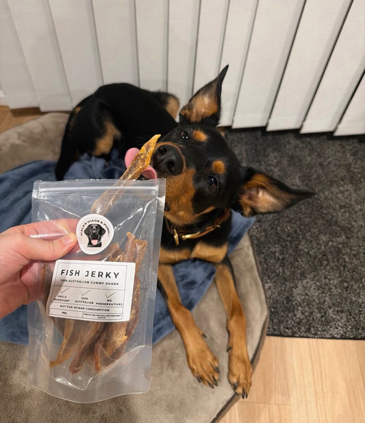 Fish Jerky